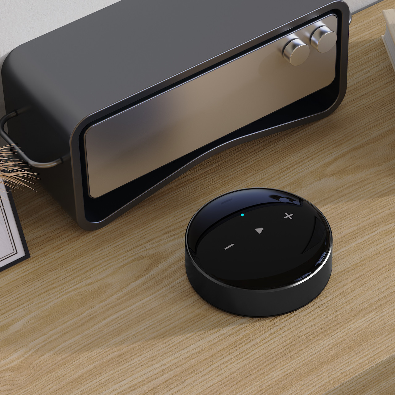 その他 WiiM Mini Streamer WiiM Mini Streamer and Preamplifier | Audio Excellence Canada