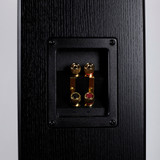 Totem Bison Tower Speakers