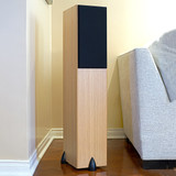 Totem Bison Tower Speakers