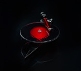 Pro-Ject AC/DC Special Edition Turntable with 2M Red Cartridge