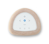 Bluesound PULSE FLEX (P130)