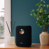 WiiM Sound Smart Streaming Speaker
