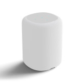 WiiM Sound Smart Streaming Speaker