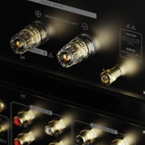 EverSolo AMP-F10 Power Amplifier