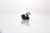 Rega Phono Cartridge Ania