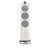 Bowers & Wilkins 804 D5 Reference Tower Speakers