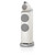 Bowers & Wilkins 803 D5 Reference Tower Speakers