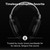 Sennheiser HD 650 Open-Back Headphones