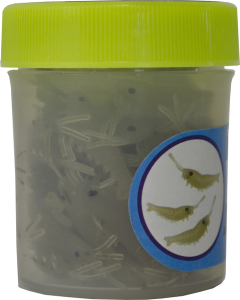 Ice Scentz Freshwater Shrimp Jar Bait
