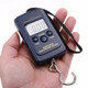 40kg Portable Digital Luggage Scale with LCD Display