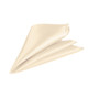 Men's Satin Handkerchief Pocket Square Men’s Fashion Accessory 9 Inch(23cm)