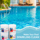 Blue Sparkle Hot Tub Chemical Starter Kit