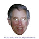 Royal Family King Charles Face Mask