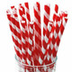 Red & White Striped Biodegradable Paper Straws