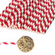 Red & White Striped Biodegradable Paper Straws