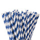 Blue & White Biodegradable Paper Straws