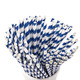 Blue & White Biodegradable Paper Straws