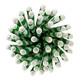 Green & White Biodegradable Paper Straws