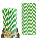 Green & White Biodegradable Paper Straws