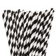 Black & White Biodegradable Paper Straws