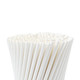 White Biodegradable Paper Straws