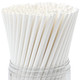 White Biodegradable Paper Straws