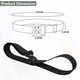 Webbing Belt