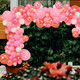 5m Latex Balloon Arch Kit - Baby Pink, White, 163pcs