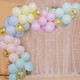 5m Latex Balloon Arch Kit - Assorted Colours, 80pcs