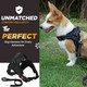 No-Pull Dog Harness & Leash Set - Black