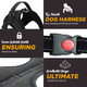 No-Pull Dog Harness & Leash Set - Black