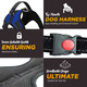 No-Pull Dog Harness & Leash Set - Royal Blue
