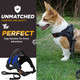 No-Pull Dog Harness & Leash Set - Royal Blue