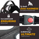 No-Pull Dog Harness & Leash Set - White