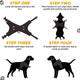 No-Pull Dog Harness & Leash Set - White