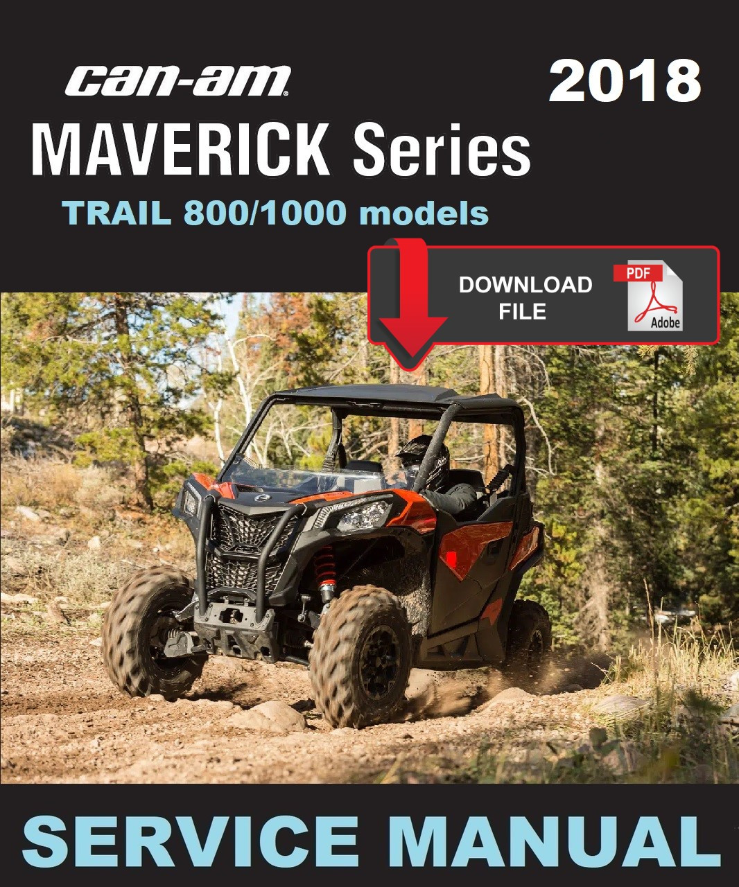 2018 CAN AM MAVERICK SERVICE MANUAL PDF visual data 6