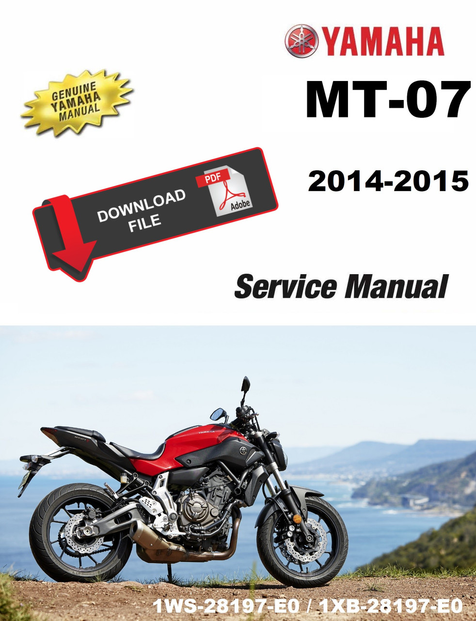 Yamaha 2014 MT07 Service Manual