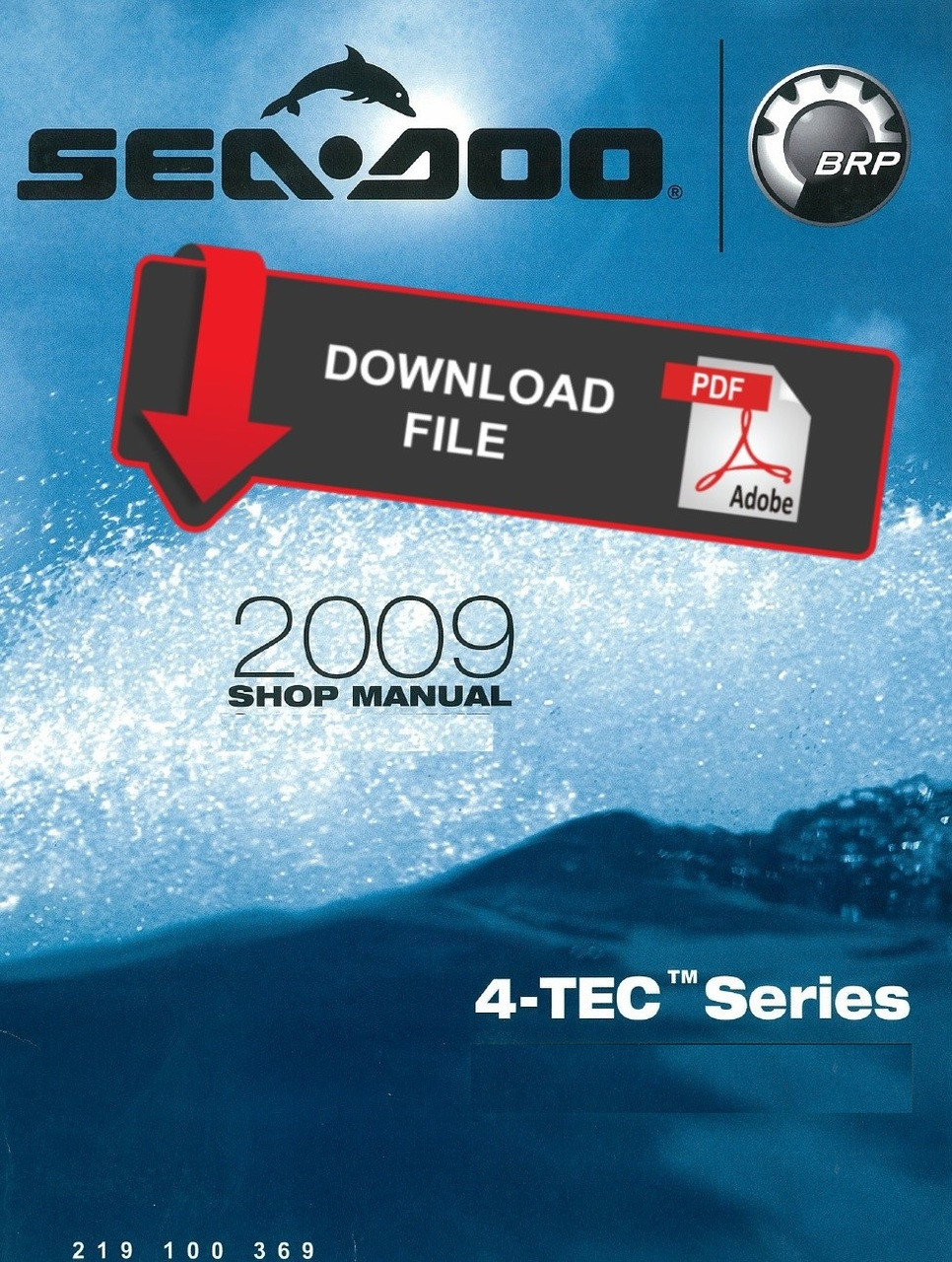 Sea Doo 2009 4 Tec Jetski Personal Watercraft Service Manual