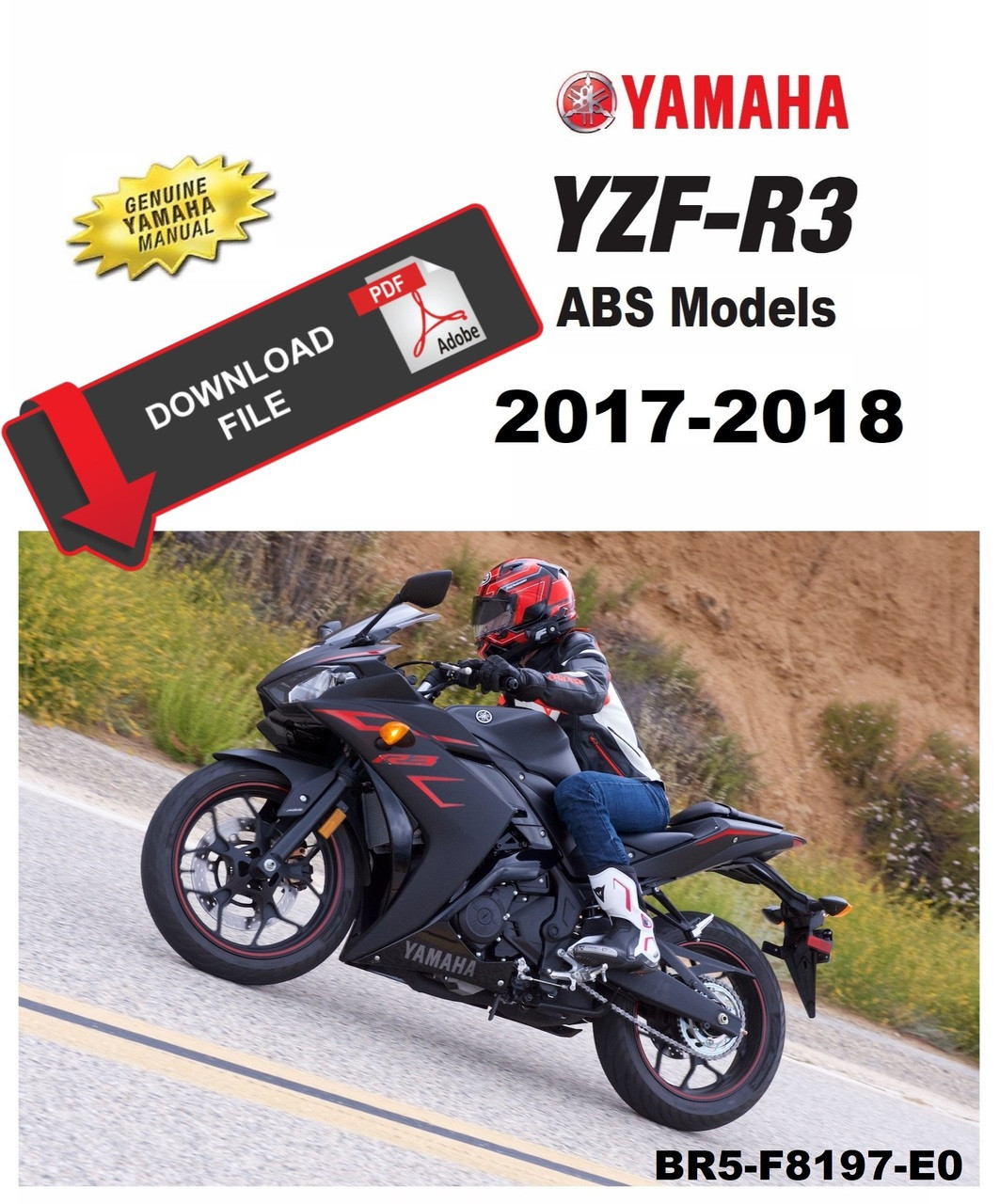 Yamaha 2017 YZF-R3A ABS Service Manual