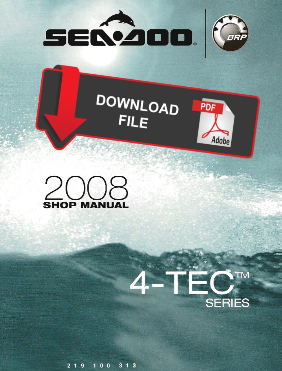 Sea-Doo 2008 RXT 255 Jetski Personal Watercraft Service Manual