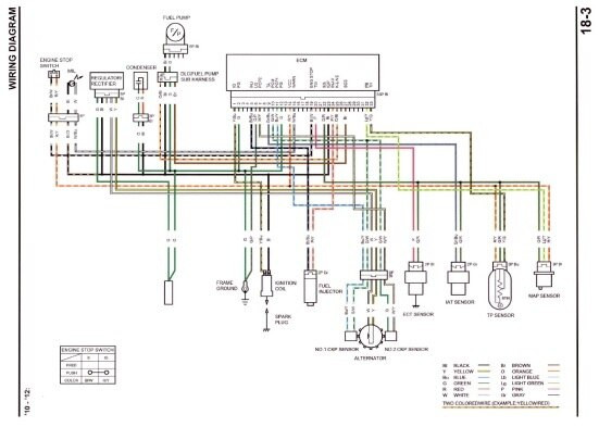 Crf450r Engine Schematic HONDA CRF450R 2002-2006 TOP END ENGINE