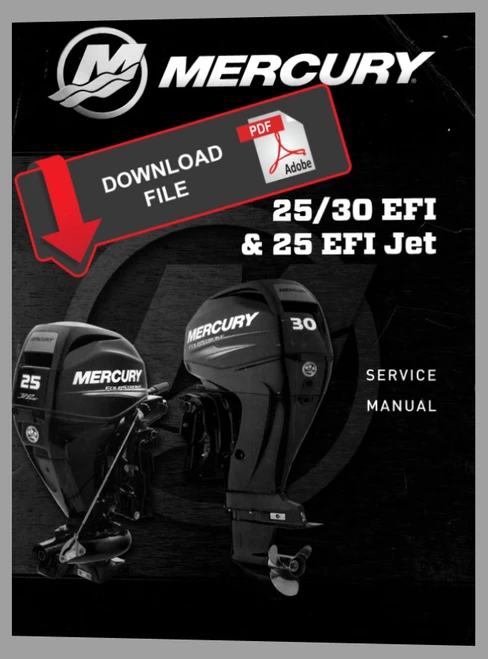 Mercury 60 Hp 4 Stroke Parts Diagram | Reviewmotors.co