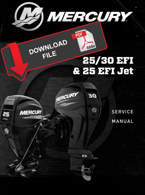 Mercury 4-Stroke 30 HP EFI Outboard Motor Service Manual