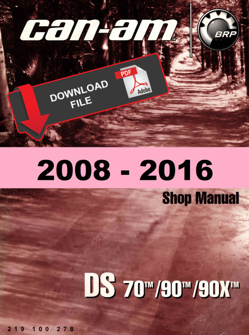 Can-Am 2012 DS 70 Service Manual