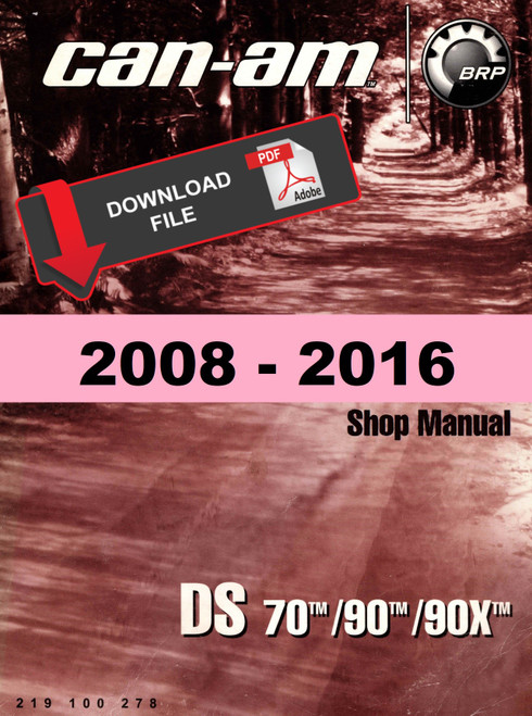 Can-Am 2009 DS 90 Service Manual