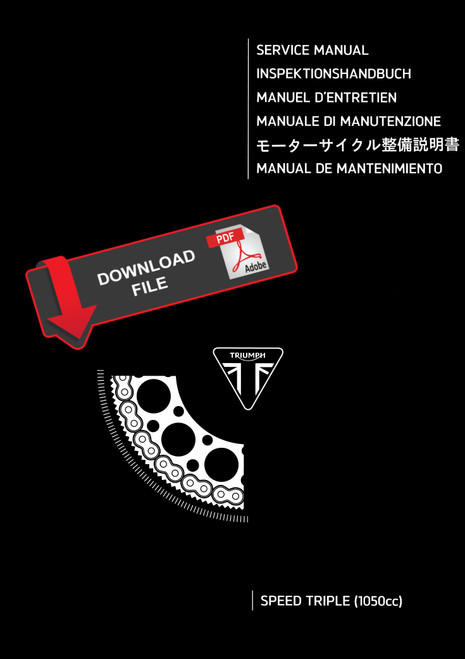 Triumph 2009 Speed Triple 1050 Service Manual