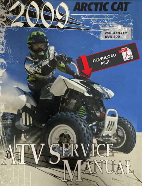 Arctic Cat 2009 ATV DVX 300 Service Manual