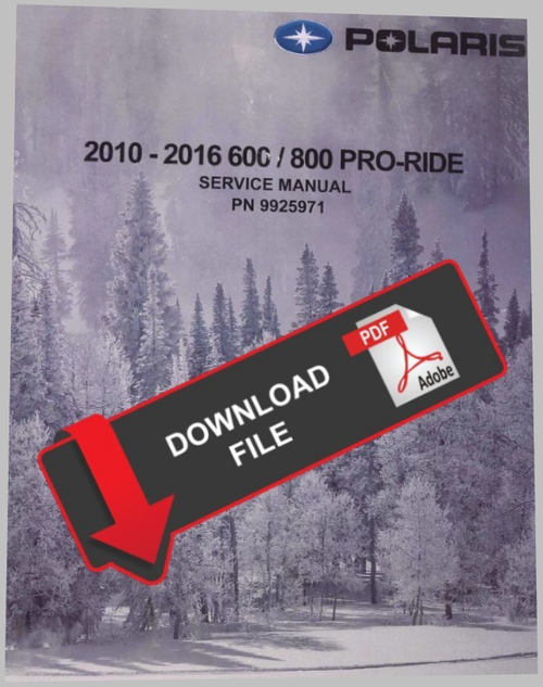 Polaris 2015 800 Pro RMK 155 Terrain Dominator Service Manual