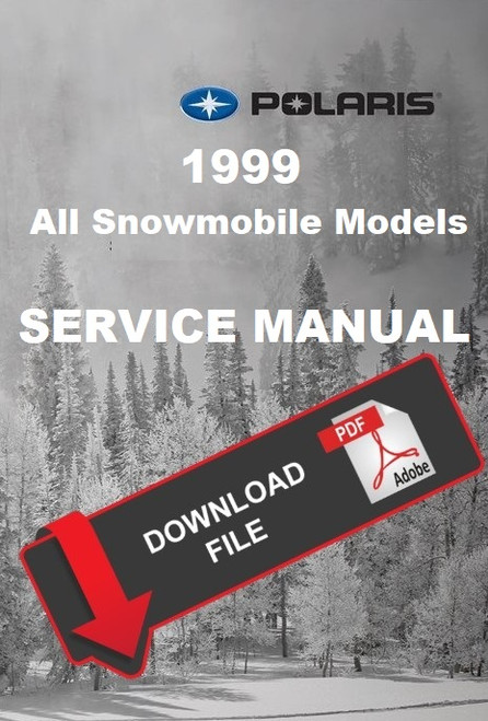 Polaris 1999 Indy 700 RMK Service Manual