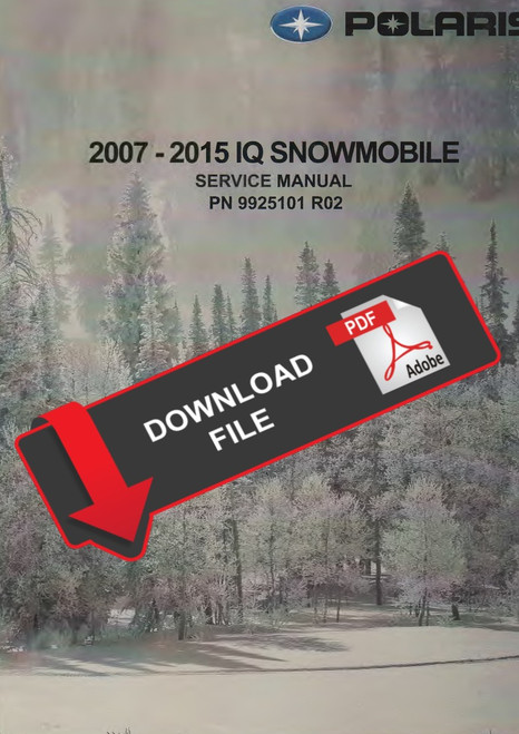 Polaris 2009 700 RMK 155 Service Manual